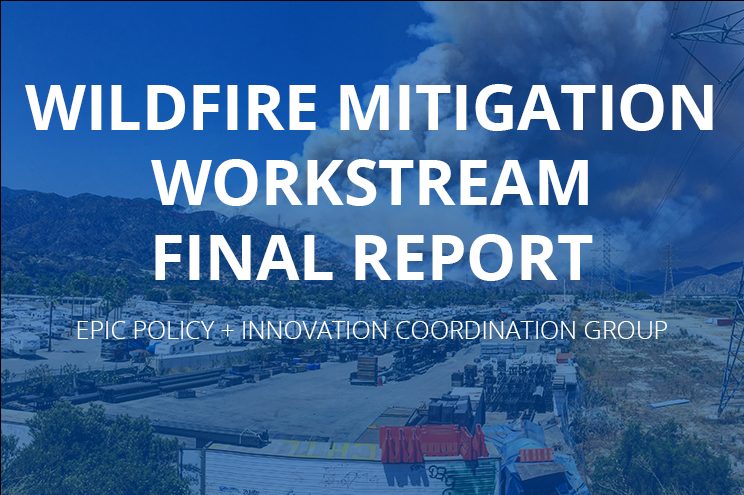 Wildfire Mitigation Workstream Final Report